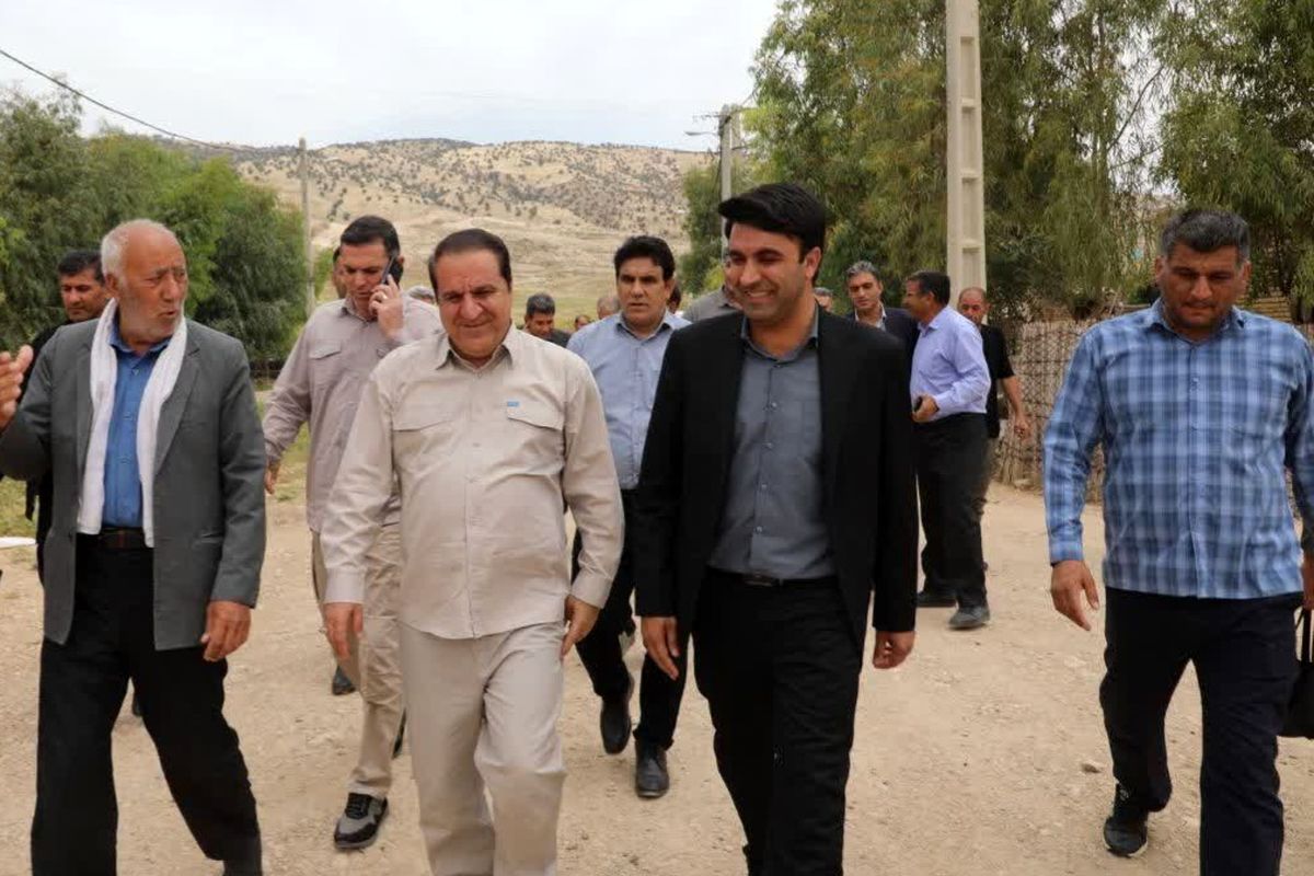 بازدید.