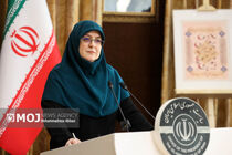 دولت به‌عنوان مجری قانون، ملاحظاتی درباره طرح عفاف و حجاب دارد + فیلم