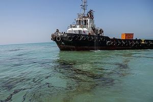 مدیرکل بنادر و دریانوردی هرمزگان از ورود دومین شناور حامل ۱۷ هزار تُن روغن خوراکی به بندر شهید رجایی خبر داد