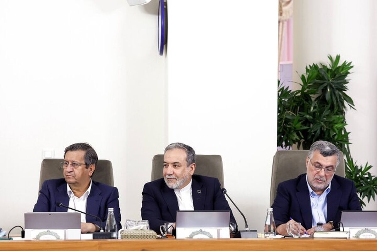 سیدعباس عراقچی در جلسه هیات دولت