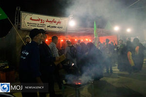 مشارکت ۲۰ میلیون زائر در مراسم اربعین امسال