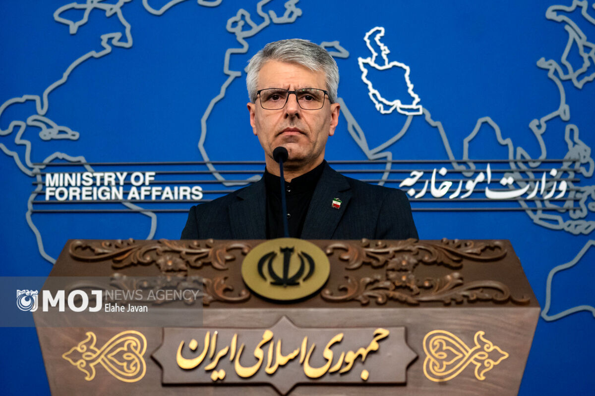 نشست خبری سخنگوی وزارت امور خارجه