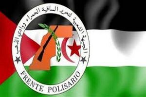 برخی مفاد قطعنامه با اصول حقوق بین‌الملل و فرایند استعمارزدایی مغایرت دارد