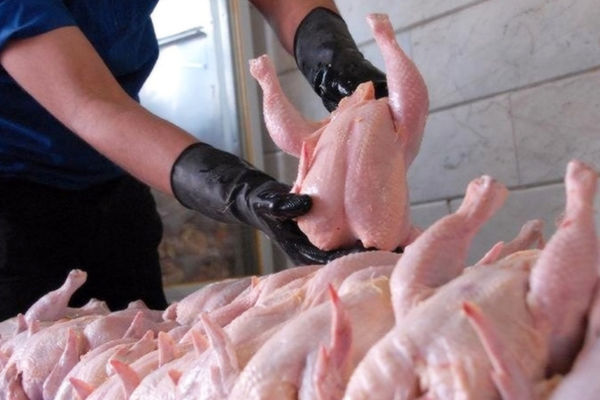 قیمت مصوب جدید مرغ اعلام شد