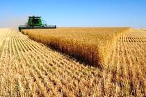 رشد نرخ ارز قیمت نهاده های دامی را گران کرد