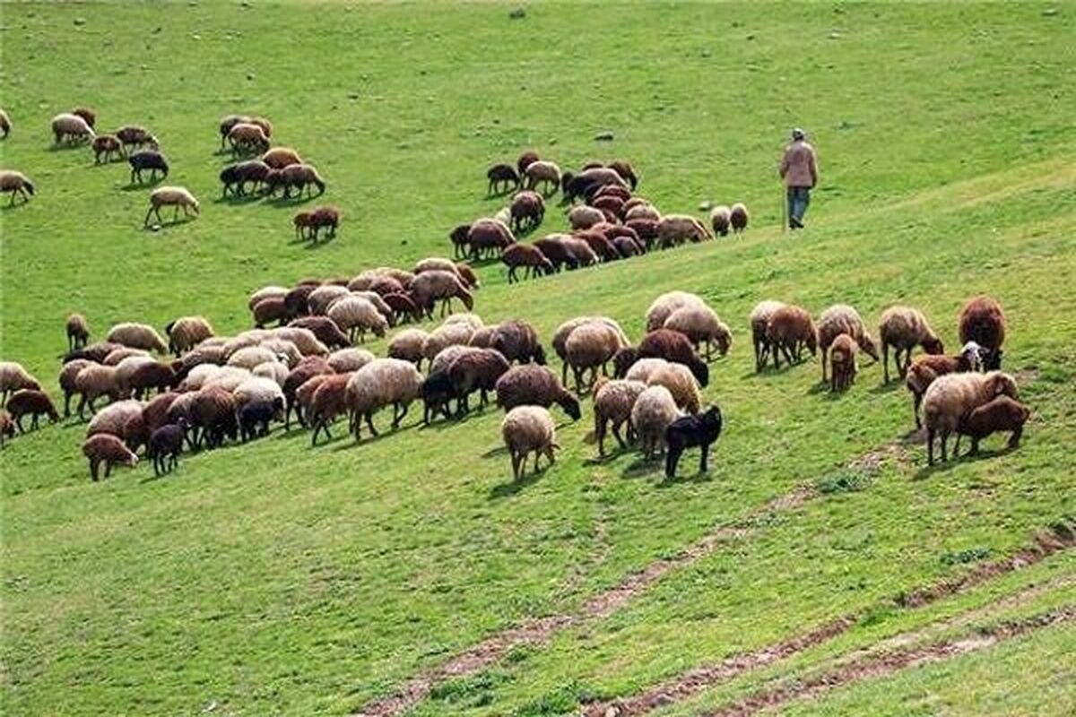 مراتع