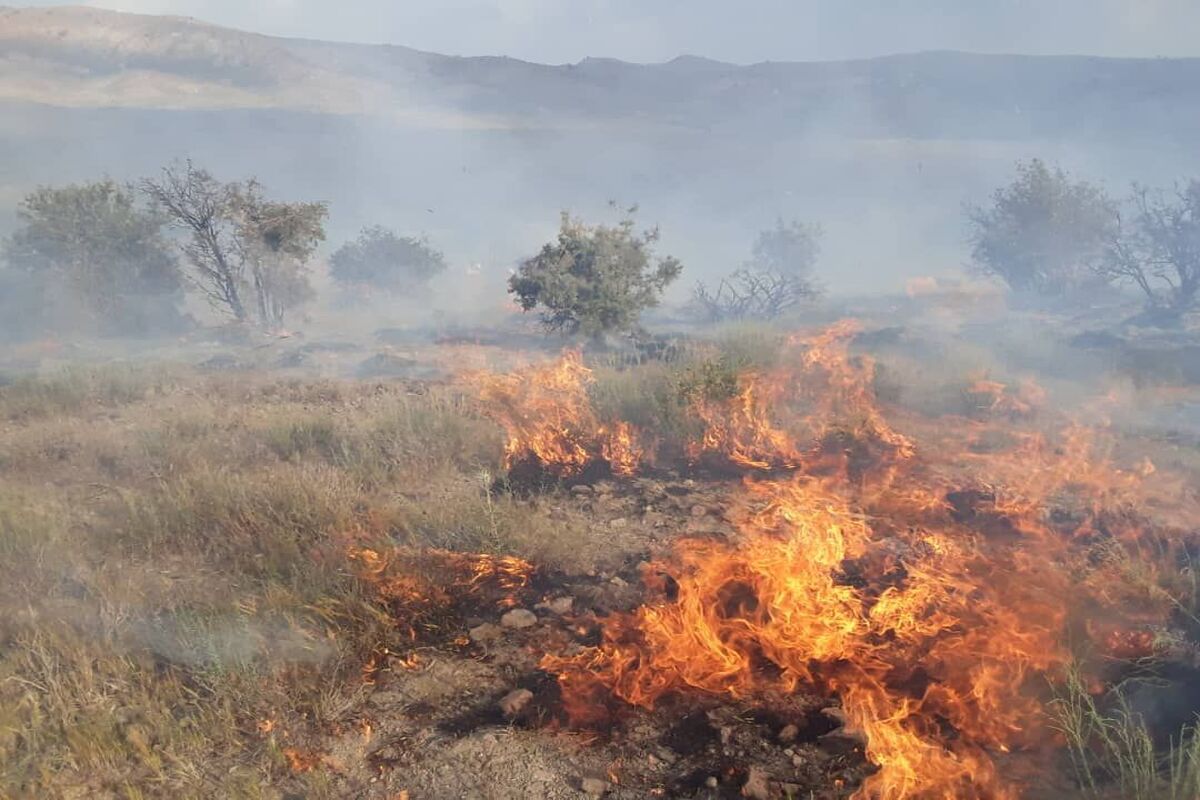 آتش سوزی در مراتع