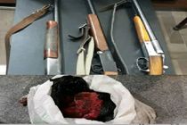 دستگیری 21 شکارچی غیرمجاز در مازندران