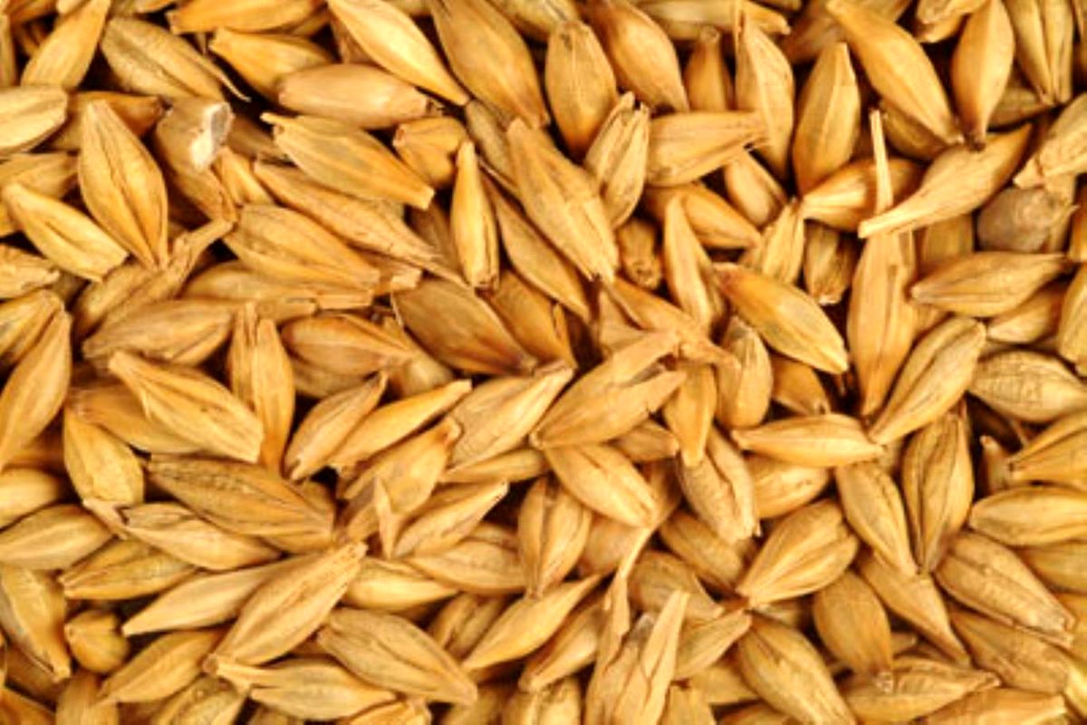 رقم جدید جو آبی