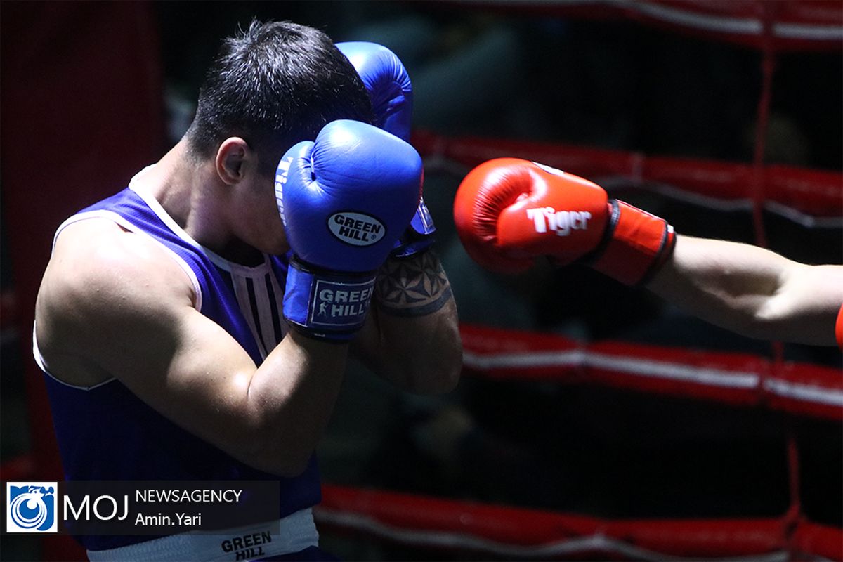 مسابقات بوکس تیم های ملی ایران و ترکیه