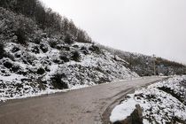 آخرین وضعیت تردد در محورهای شمالی کشور