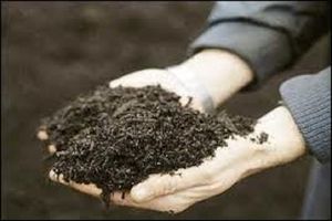 برنامه ای برای افزایش قیمت کود نداریم/بیش از ۳۰۰ هزار تن ذخایر استراتژیک کود