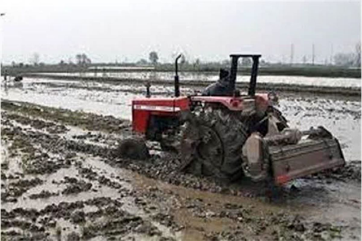 شخم و شیار زمستانه