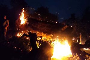 آتش‌سوزی جنگل و مرتع کلاردشت بر اثر صاعقه