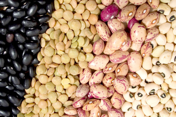 نرخ حبوبات در شهر تهران اعلام شد