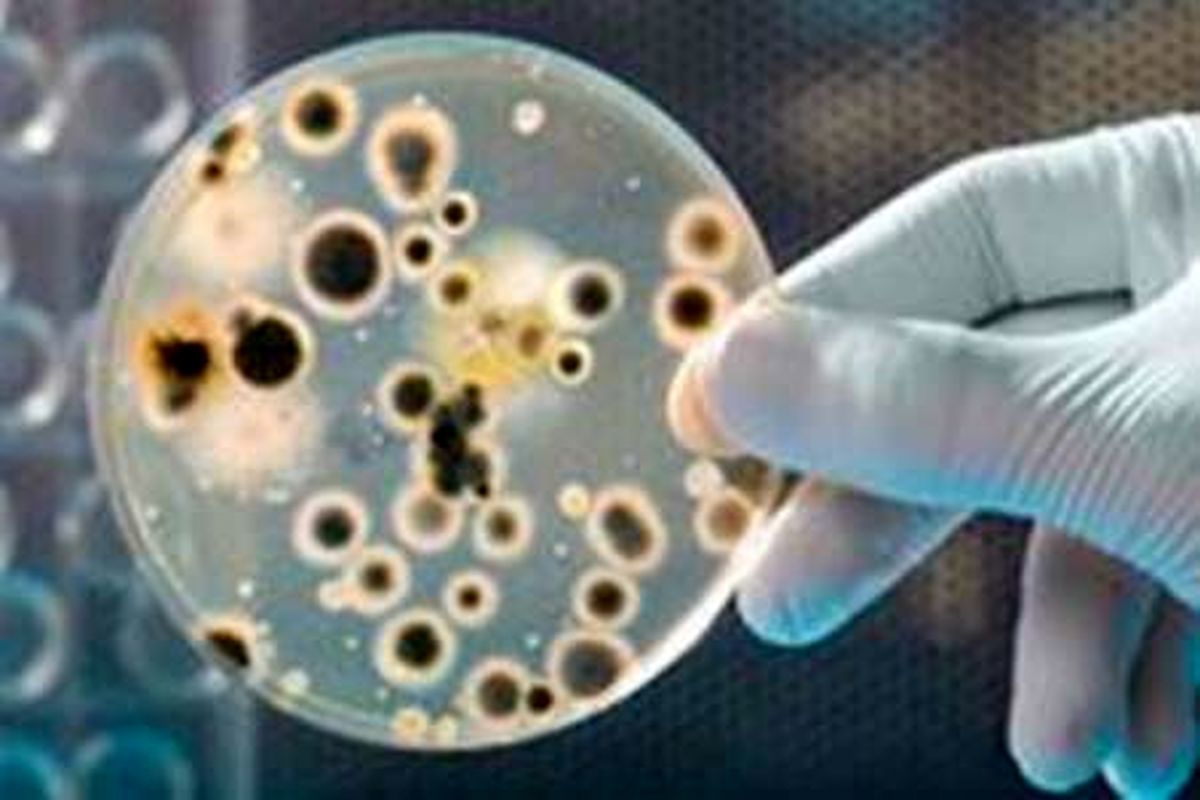 عفونت بیمارستانی