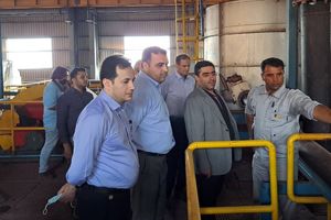 بازدید تیم ممیزی ستاد سرمایه گذاری وزارت صمت از چهار طرح صنعتی و معدنی هرمزگان