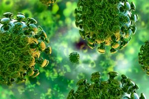 همه چیز درخصوص ویروس خطرناک کرونا