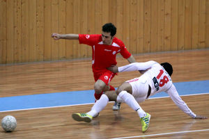 توصیف مورفولوژی گونه های «آلیوم» توسط محققان کشور