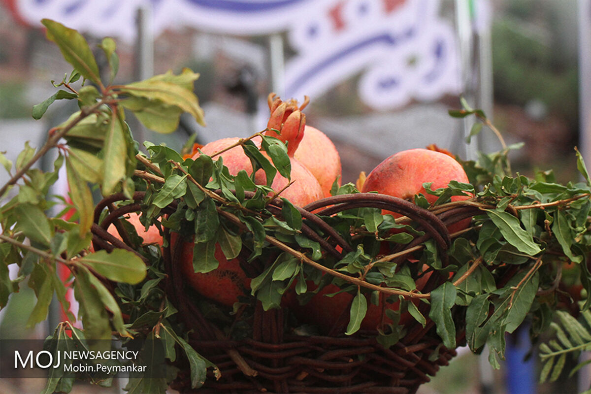 نخستین جشنواره انار هورامان در روستاهای کردستان