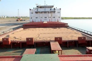 واردات قطعی گندم "ممنوع" و واردات موقت آزاد است