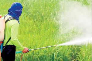 مالیات بر ارزش افزوده از سال گذشته به سموم وارداتی اضافه شد/ وضعیت آفت کش‌ها در کشور از خودرو نامطلوب‌تر است