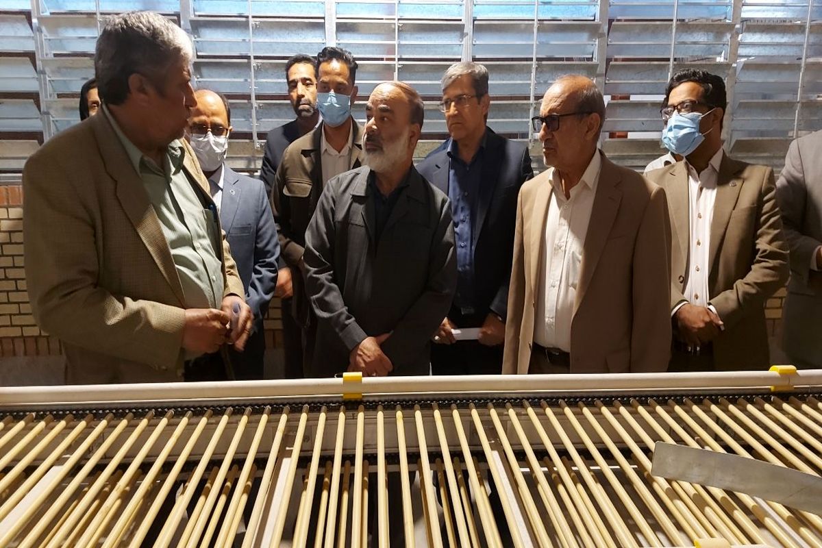 بازدید