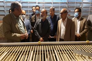 ۲۲۰۰ تن ظرفیت تولید تخم مرغ در زاهدان افزایش یافت