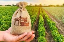 وزیر جهاد کشاورزی از افزایش کشت فراسرزمینی در قزاقستان خبر داد