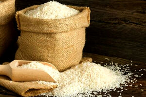 ساماندهی تولید و توزیع برنج داخلی پیگیری شود