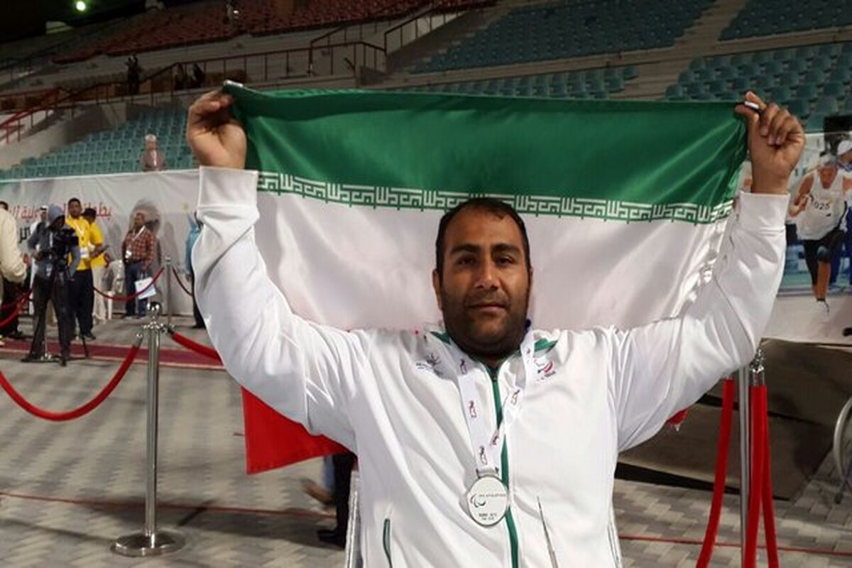 حامد امیری