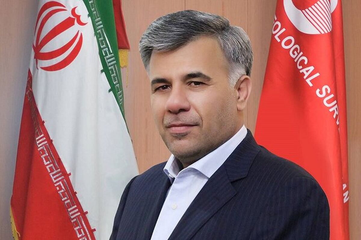 داریوش اسماعیلی رئیس سازمان زمین‌شناسی و اکتشافات معدنی کشور
