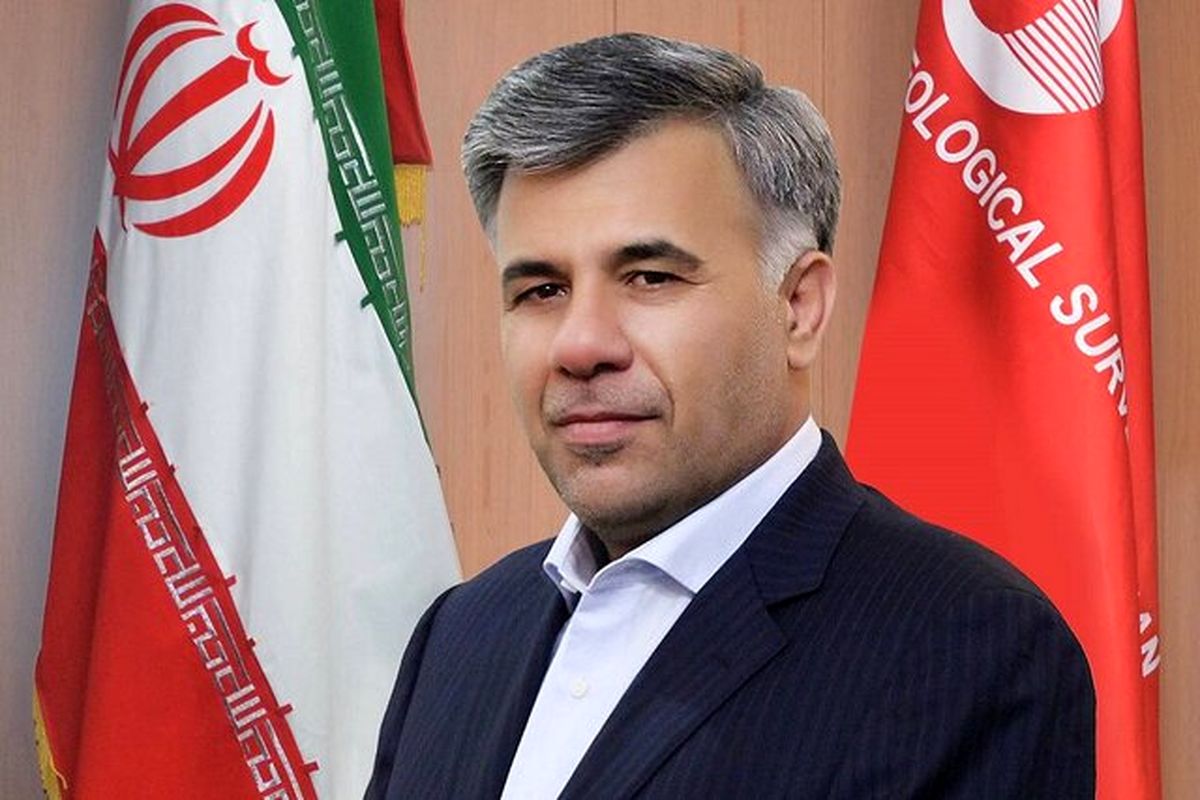 داریوش اسماعیلی رئیس سازمان زمین‌شناسی و اکتشافات معدنی کشور
