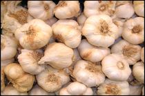 کشف 4 میلیاردی محموله قاچاق سیر در بندر لنگه