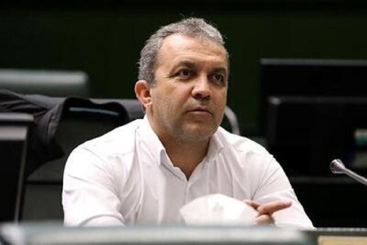 محمدمهدی فروردین رئیس فراکسیون ورزش مجلس