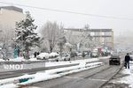 بارش برف و باران در اغلب مناطق کشور از شنبه