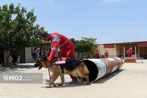 هلال‌احمر مازندران ۸۷۵ دوره آموزشی در سه‌ماهه سوم ۱۴۰۴ برگزار کرد