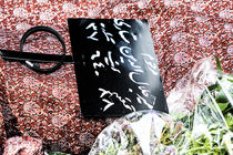 مراسم تشییع پیکر استاد جلال ستاری برگزار شد