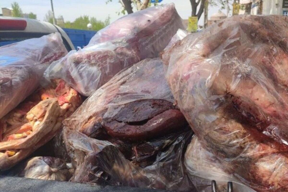گوشت