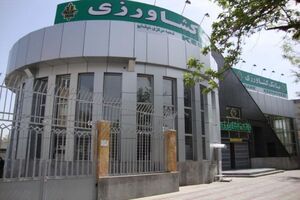 حمایت بانک کشاورزی از اسب اصیل ترکمن و فرش ابریشمی دستباف به عنوان طرح های مرتبط با اقتصاد مقاومتی