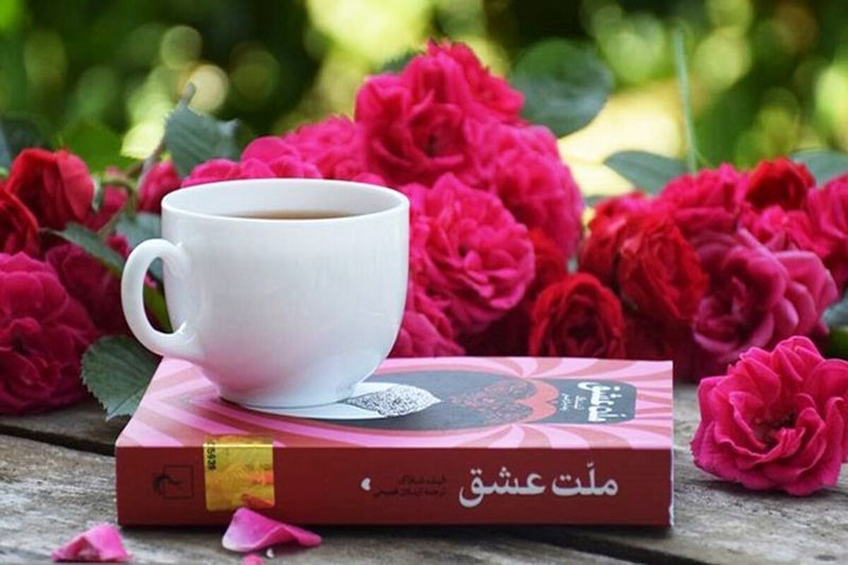 ملت عشق