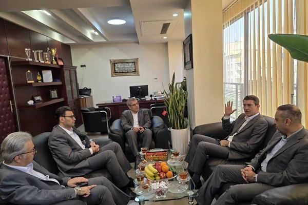 ضرورت تمرکز و هماهنگی همکاران برای تحقق اهداف بانک سینا در سال جاری