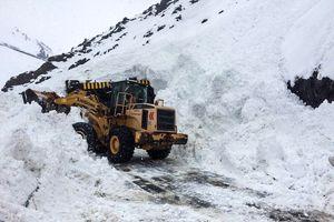 وقوع بهمن در جاده چالوس