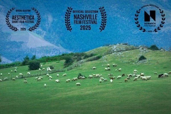 درخشش سینمای ایران در لس‌آنجلس، «گوسفند» دوم شد