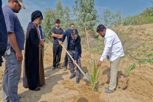  پویش کاشت و وقف ۱۴ هزار نخل در ۶ استان کشور شروع شد