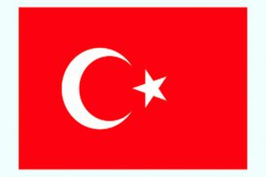 انتقاد ترکیه از برافراشتن پرچم کردستان عراق در استان کرکوک