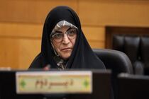  تغییرات لایحه دولت ماهوی نیست؛ همه مواد با رأی سه قوه بررسی شده‌اند