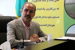 فیلم‌های جوجه‌کُشی مربوط به شهرهای دیگر است 