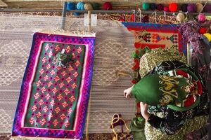 برگزاری نمایشگاه توانمندی‌های روستایی و عشایری در فارس