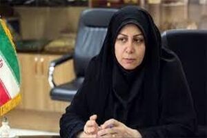  پوشاک ایرانی بدون مجوز برند اصلی نباید تولید کپی کند